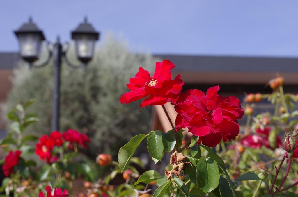 Hotel Los Olivos Getafe Exterior foto